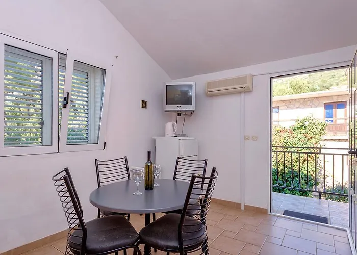 Zora איוואן דולץ